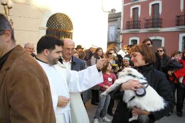 Fiestas San Antonio-Bendicion animales