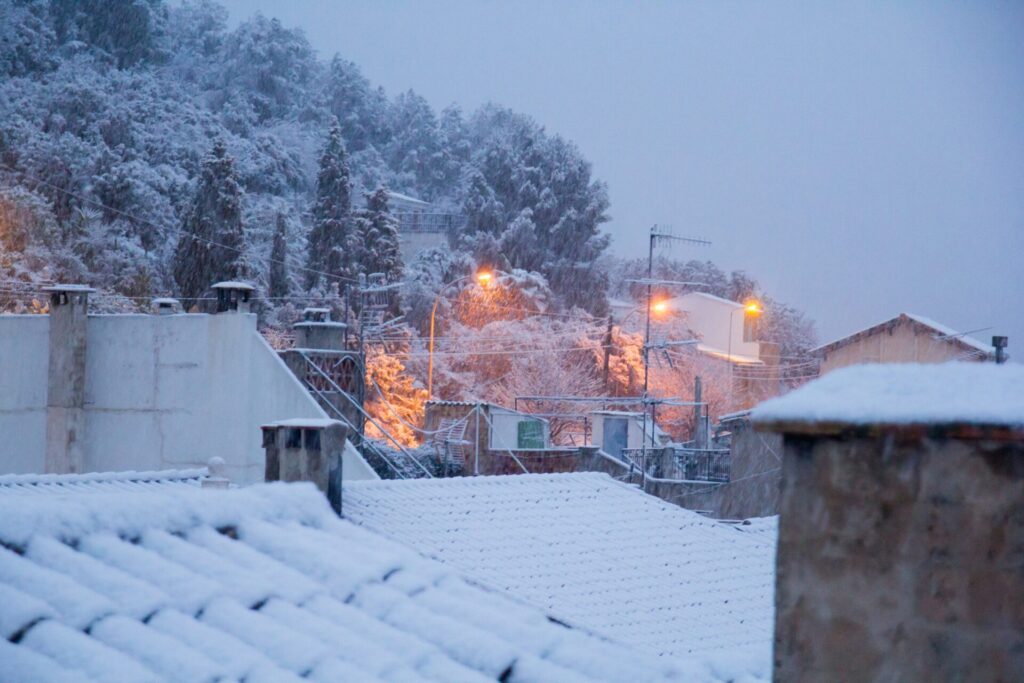 Vistes de Sagra. Teulades nevades
