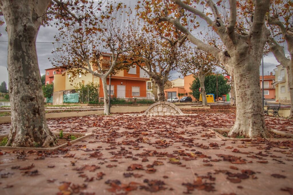 Plaça de les fonts
